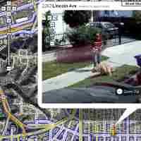 Peta Online Google Diprotes Pengacara dan Profesor