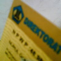 Setiap Hari 200.000 Orang Request NPWP