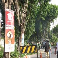 Hindari Pohon Tumbang, DKP Potong Pohon di Jalan Protokol