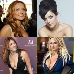 Insiden Baju Terheboh Selebritis Hollywood  2008