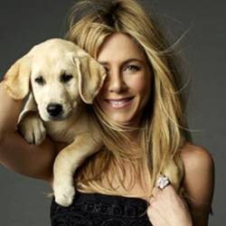 Jennifer Aniston Kalahkan Brad Pitt di Box Office
