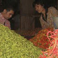 Jelang Tutup Tahun, Harga Cabe Rawit Meroket