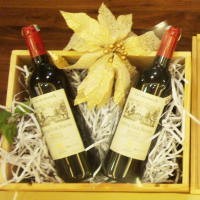 10 Resolusi Sehat Tahun 2009