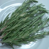 Rosemary