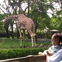 Children Zoo, Wahana Baru di Kebun Binatang Surabaya