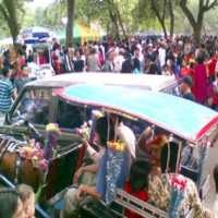 176 Ribu Pengunjung Padati Kebun Binatang Ragunan