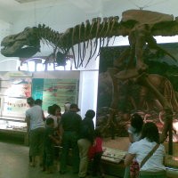 Pengunjung Museum Geologi Membludak