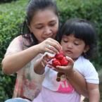 Dianti Shabira, 2,3 Tahun; Perempuan; f