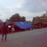 Korban Gempa Manokwari Masih Hidup di Tenda Darurat di Jalan