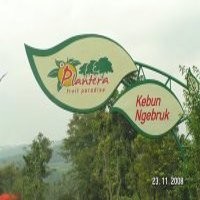 Wisata Kebun Buah Ngebruk Tidak Seindah Bayangan