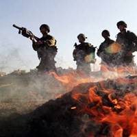 Umat Hindu Jombang Panjatkan Doa untuk Perdamaian di Gaza