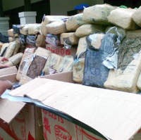 Polisi Bekuk Dua Pengedar Ganja