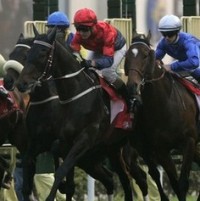 Balap Kuda Digoyang Krisis Finansial Global