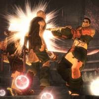 Fable II Dipuji Vegetarian  