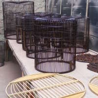 Dari Kontes, Flu Burung Sampai Krisis Global