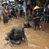Warga Banyuwangi Gelar Ritual Kebo-keboan