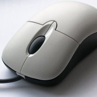 4 Alternatif Menghindari Gigitan Mouse