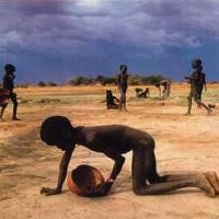 Wabah Kurang Gizi Diperangi dengan Ponsel