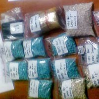 Polisi Sita 17 Kg Shabu dan 31 Ribu Butir Ekstasi