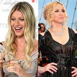Gwyneth Paltrow Bahagiakan Madonna Dengan Lingerie Seksi