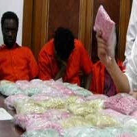 Polda Sumut Musnahkan 1.344 Kg Ganja dan 26.867 VCD Porno