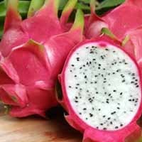 Jelang Imlek Permintaan Buah Naga Meroket