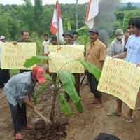 Jalanan 25 Km Rusak Parah, Warga Tanami Pohon Pisang