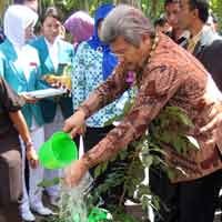 Menhut Beri Lampu Hijau Tambang Emas di Banyuwangi
