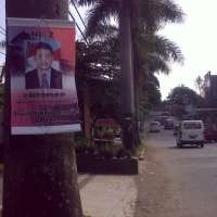 Paku di Pohon hingga Tempel di Tembok Warga 