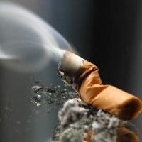 Fatwa Haram Rokok Seharusnya Ditujukan untuk Pemerintah