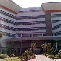 Dirawat Sehari, Pasien Flu Burung Meninggal di RSU Soetomo