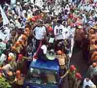 Panwas Minta Pengacara Tifatul Dikenai Sanksi 