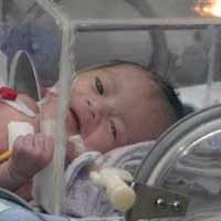 Hukumnya Disamakan dengan Zina