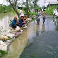 Air Kali Jagir Meningkat, Tanggul Wonorejo Merembes