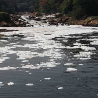 BPLH Akan Panggil 7 Perusahaan