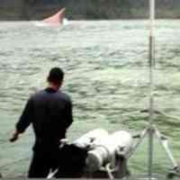 Tanker Dibajak di Somalia, Termasuk 1 ABK Asal Indonesia