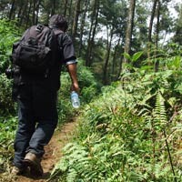 7 Mahasiswa Yarsi Hilang di Gunung Halimun Salak Sukabumi