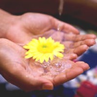 Seharusnya The Michael Resort Memiliki Keramahan 