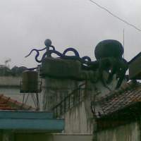 Misteri Rumah Gurita Sedot Warga Jakarta