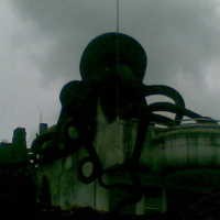 Tidak Ada Aktivitas Mencurigakan di Rumah Gurita