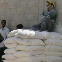 Harga Terigu Tak Terpengaruh Kenaikan BM Impor