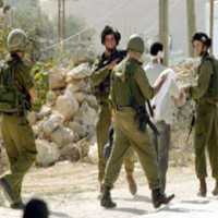 Pasukan Israel Tangkap 12 Warga Palestina di Tepi Barat