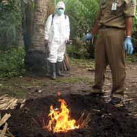 Banyuwangi Siaga Endemi Flu Burung