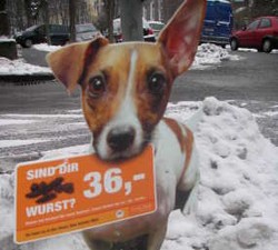 Jika Anjing Menjadi Tuan