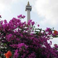 Simsalabim! Taman Monas Mendadak Kembali Cantik