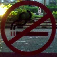 Pemkot Surabaya Segera Keluarkan Perwali Kawasan Tanpa Rokok