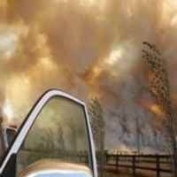 Kebakaran Australia, Korban Tewas Jadi 76 Orang