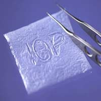 Minat Donor Jaringan Tubuh Minim Dibanding Donor Darah