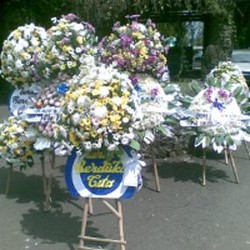 Sebelum Tewas, Mulut Dwi Dipenuhi Busa Kekuningan