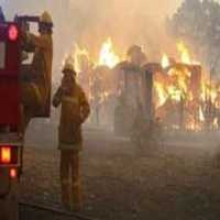 RI Kirim Ahli Forensik dan Dana US$ 1 Juta